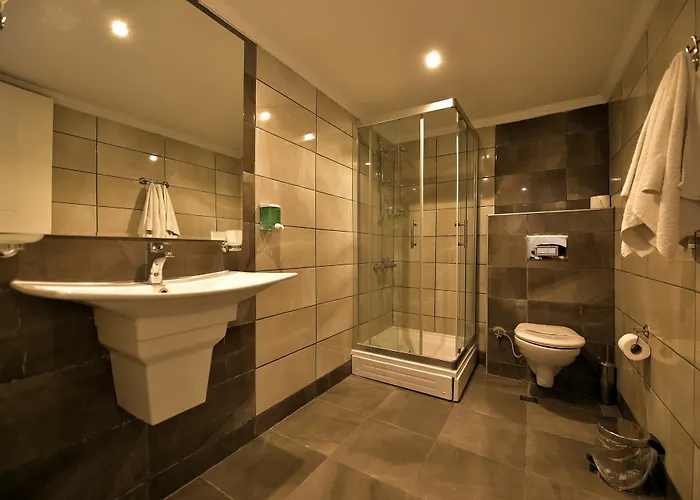 Alder 호텔 Ayvalı